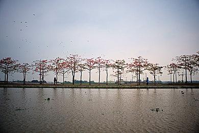 Nvidia技术演示游戏《赛车RTX》于11月提供下载